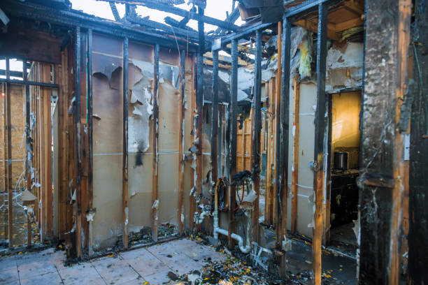 Professional Fire Damage Removal technician working in Zumbrota, MN